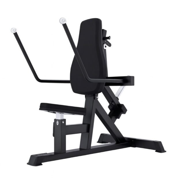 Tricep Extension/dip